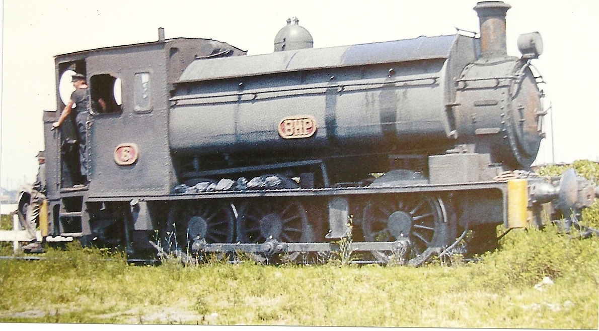 BHP STEAM LOCO NUMBER 6 at the river